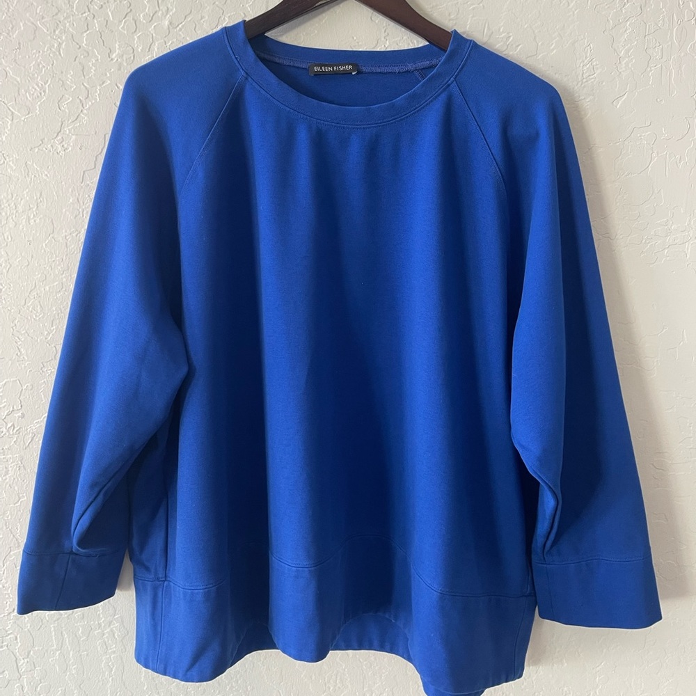 Eileen Fisher Blue Sweater